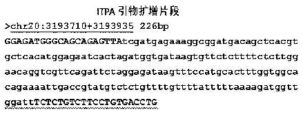 Primer and method for simultaneously detecting gene polymorphisms of IL28B and ITPA (inosineadenosine triphatase)