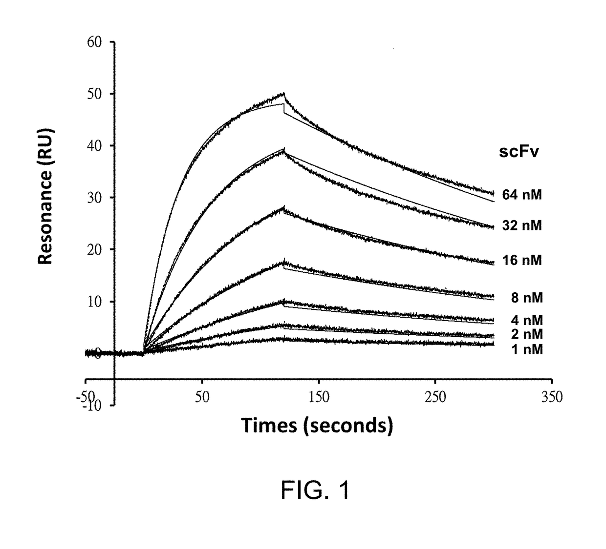 High-throughput screening of functional antibody fragments, immunoconjugate comprising the same, and adaptor-drug conjugate for screening