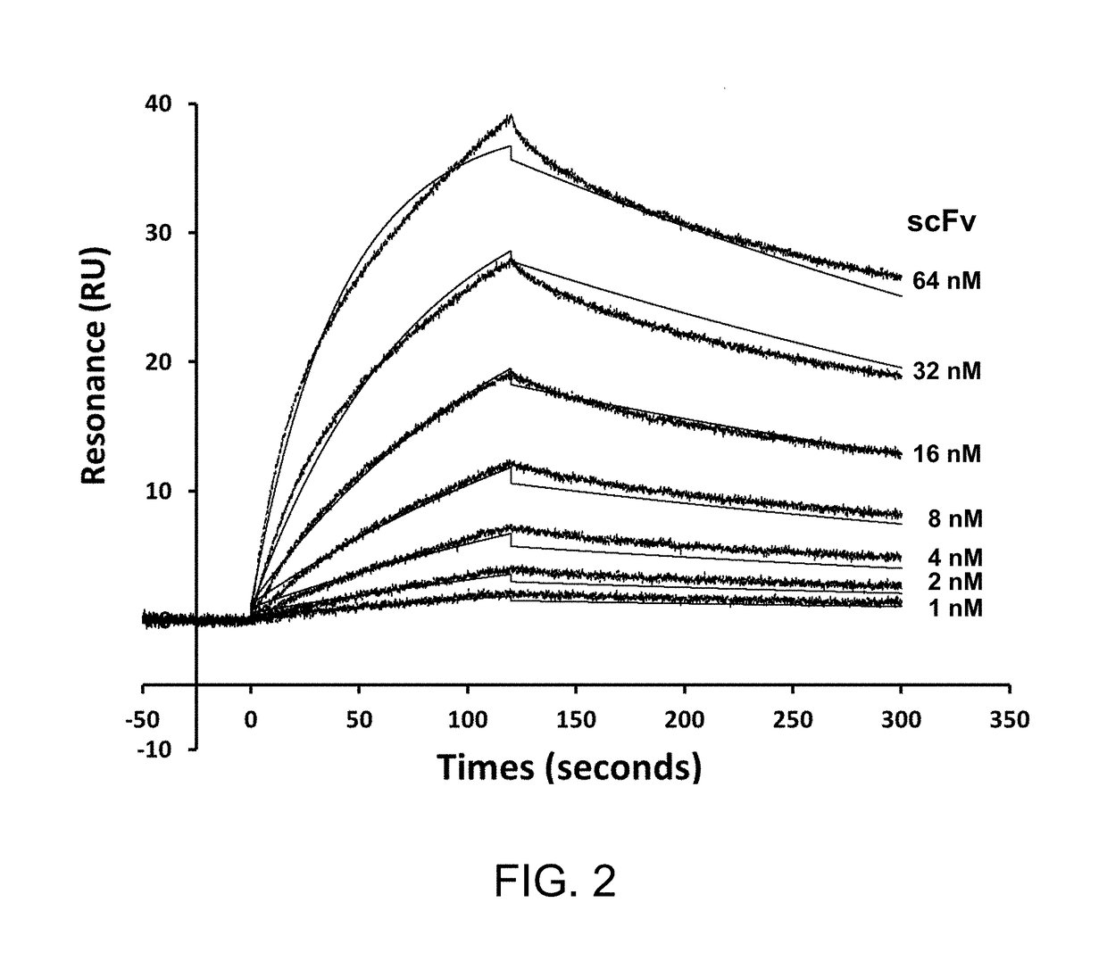 High-throughput screening of functional antibody fragments, immunoconjugate comprising the same, and adaptor-drug conjugate for screening