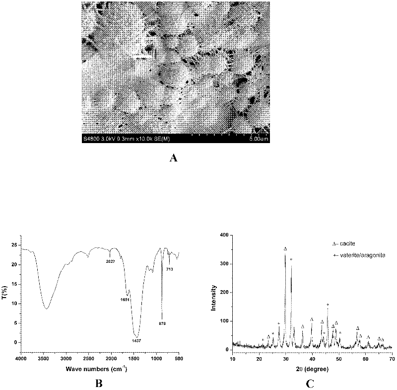 Preparation method for constructing collagen-based bio-macromolecular/hydroxyapatite microsphere composite bracket material