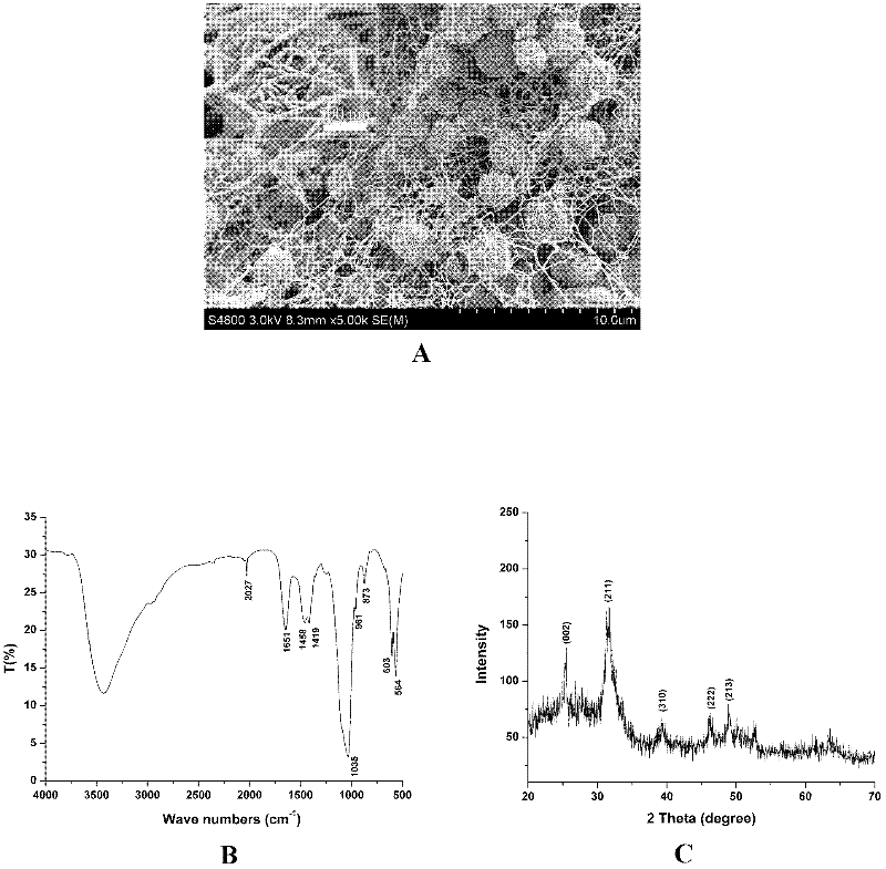 Preparation method for constructing collagen-based bio-macromolecular/hydroxyapatite microsphere composite bracket material