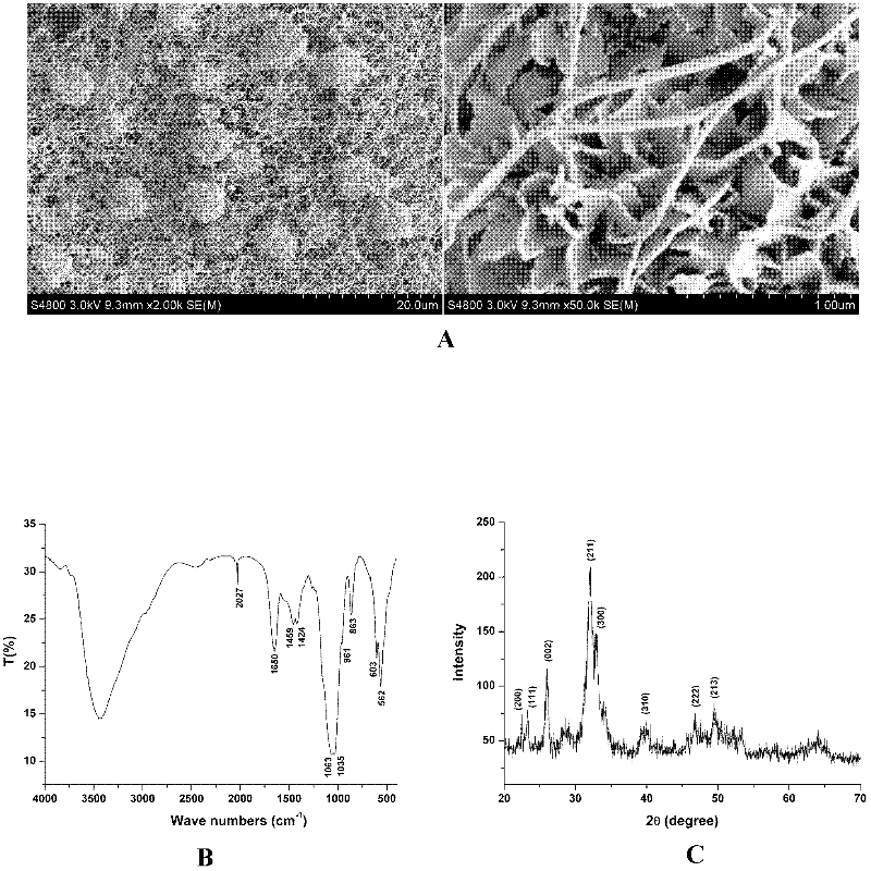 Preparation method for constructing collagen-based bio-macromolecular/hydroxyapatite microsphere composite bracket material