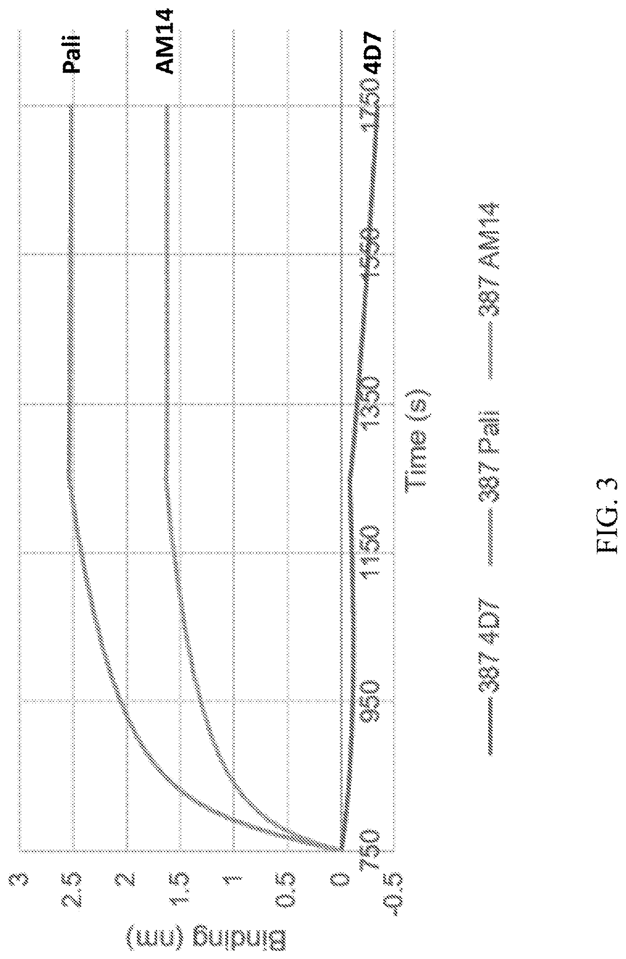 Self-Assembling Protein Nanostructures Displaying Paramyxovirus and/or Pneumovirus F Proteins and Their Use