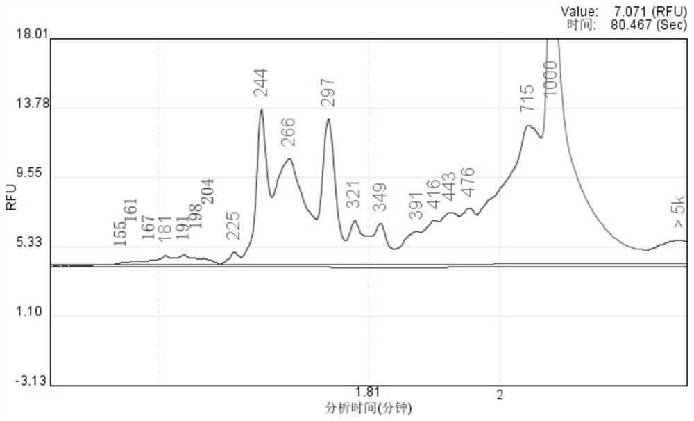 Gene detection kit for individualized administration of anti-epileptic drugs and application of gene detection kit