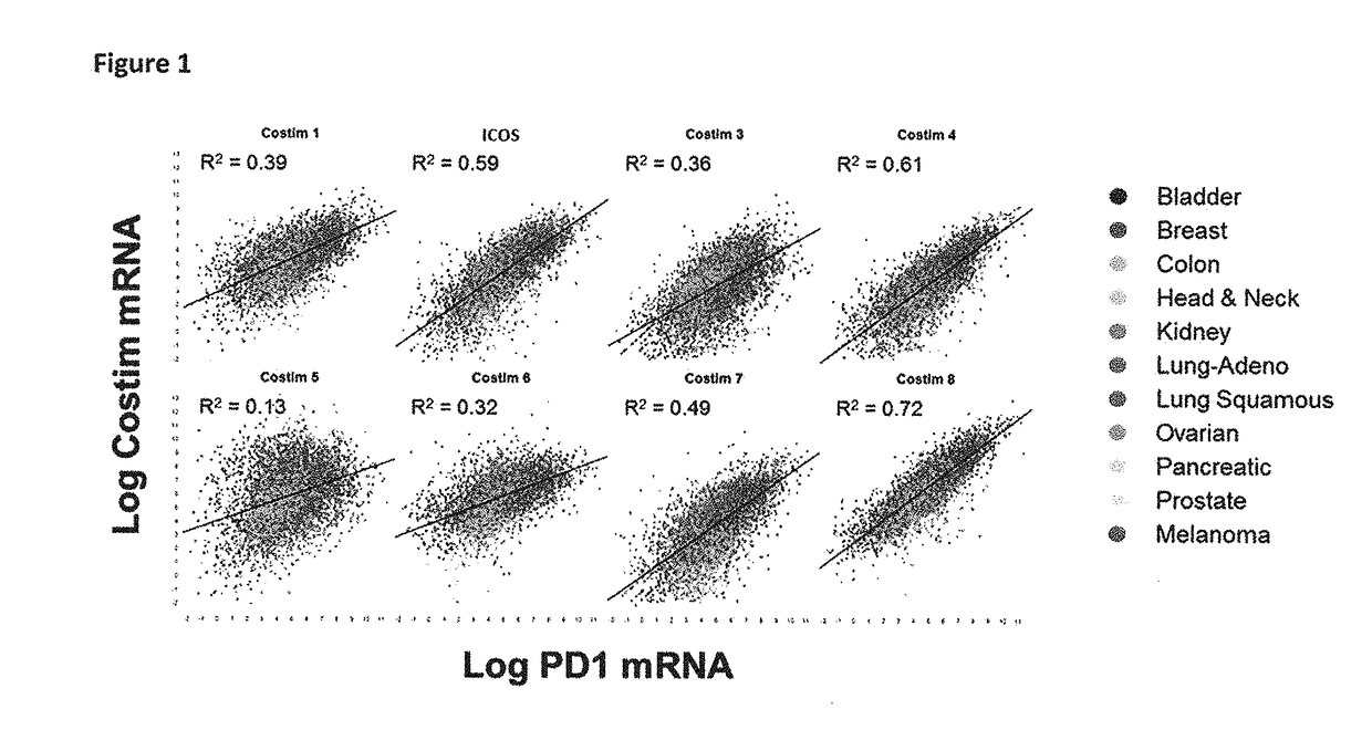 Bispecific immunomodulatory antibodies that bind costimulatory and checkpoint receptors