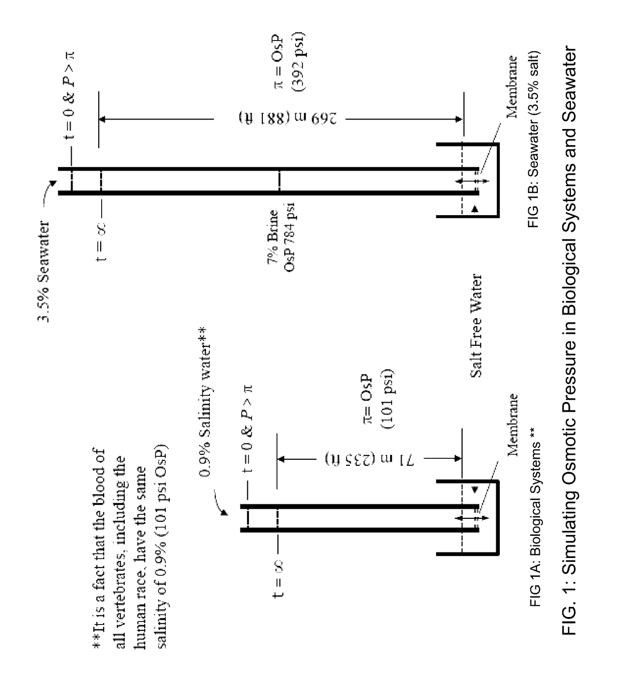 Symbiotic reverse osmosis for maximizing desalinated water recovery from saline waters and brines