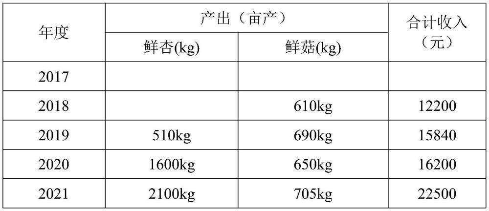 Method for intercropping and cultivating tricholoma matsutake in apricot trees in Taihang mountainous area