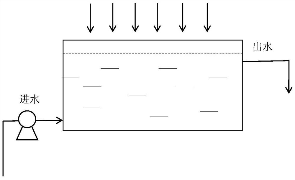 Preparation of algae biological membrane and application of algae biological membrane in urban secondary effluent treatment