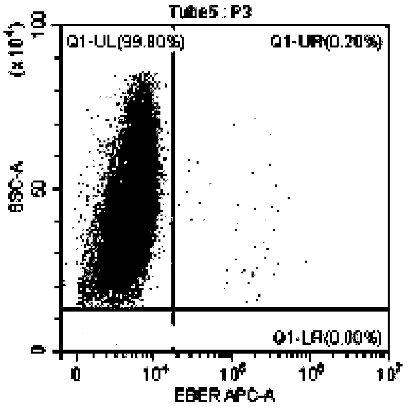 Method for identifying lymphocyte subpopulations infected by EB (epstein-barr) virus and proportion of injected cells in lymphocyte subpopulations and application of method