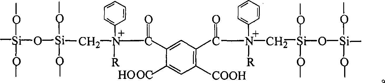 Adsorbing substance for absorbing heavy metal ion and preparation method thereof