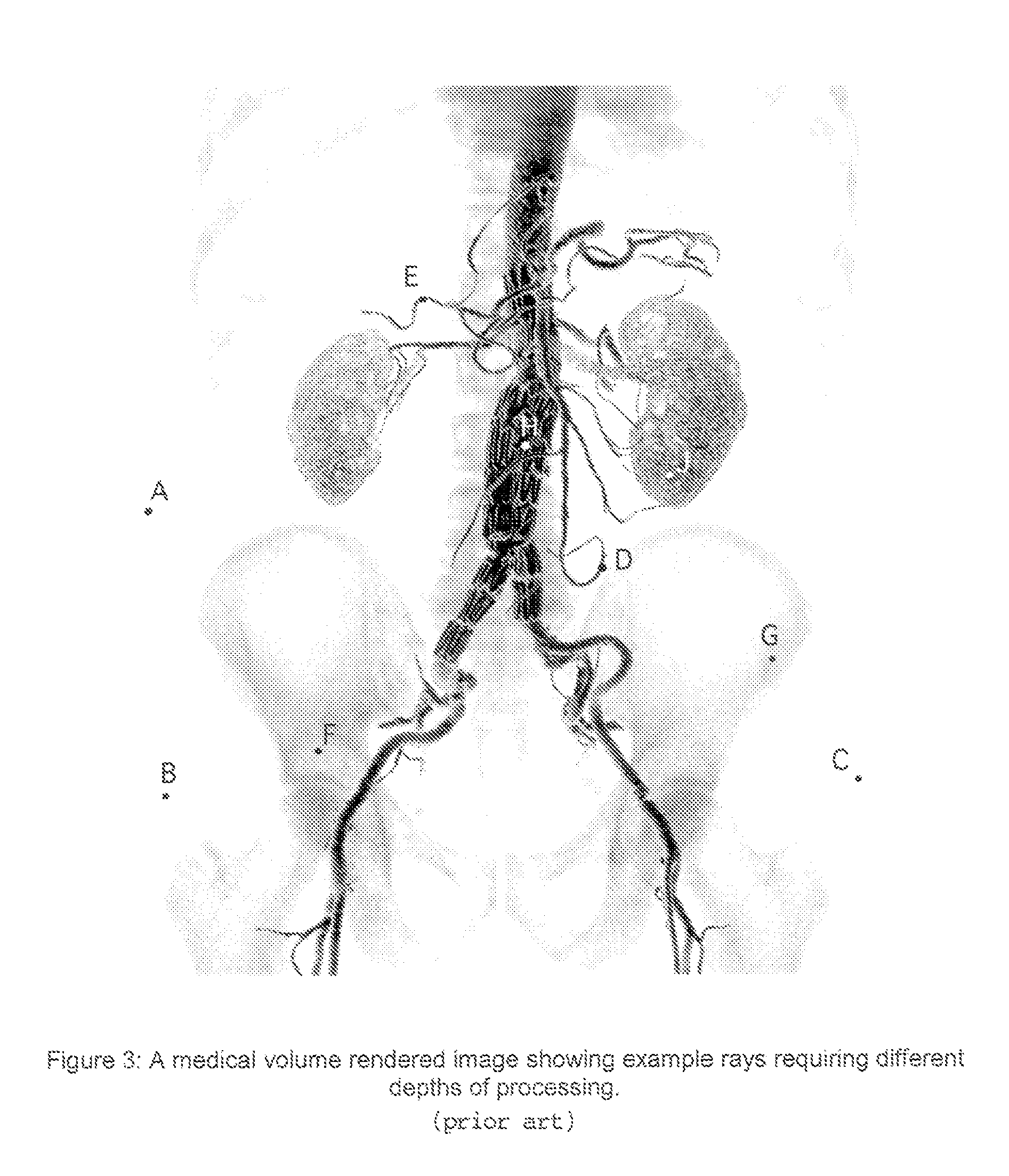 Volume rendering apparatus and process