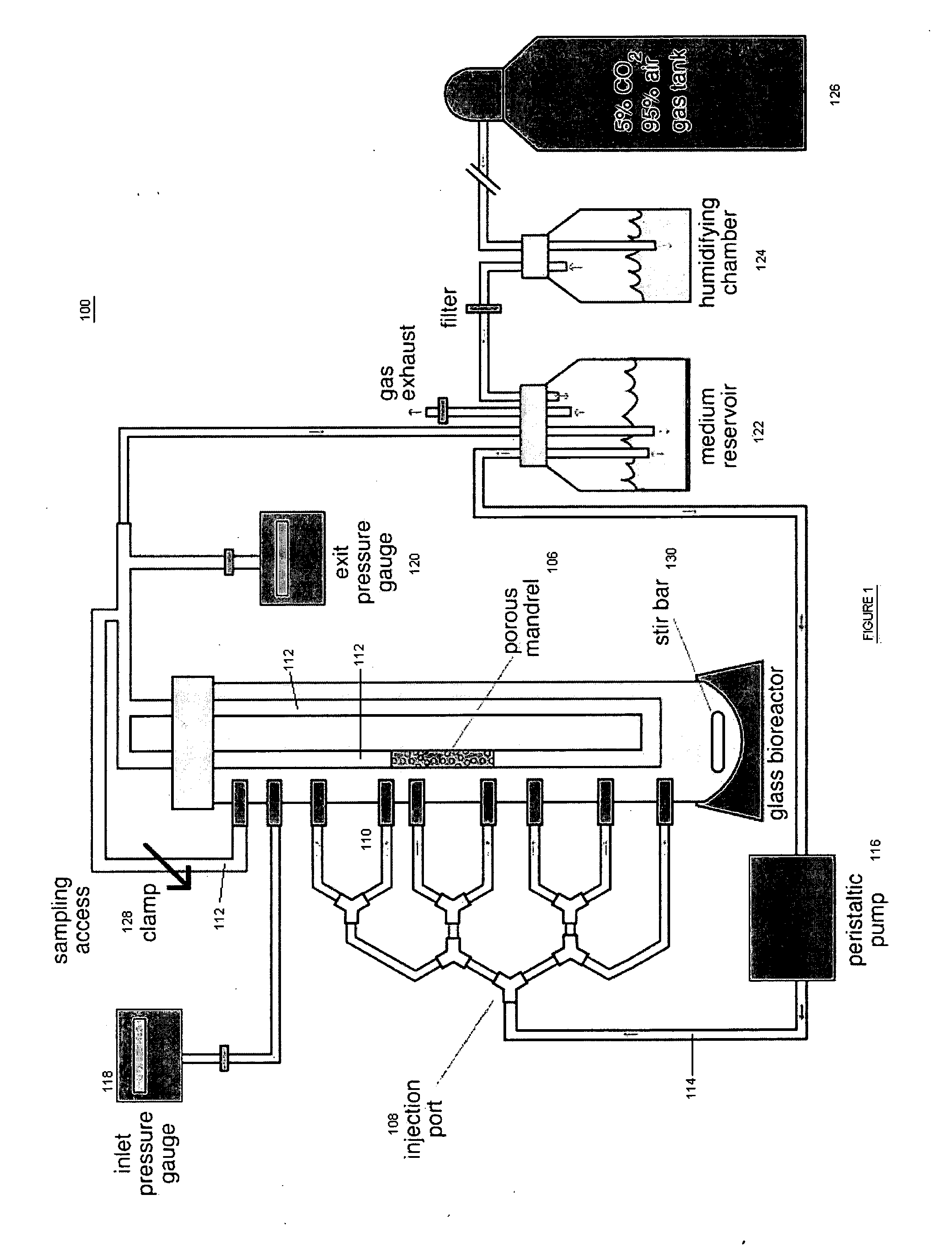 Convective flow tissue assembly