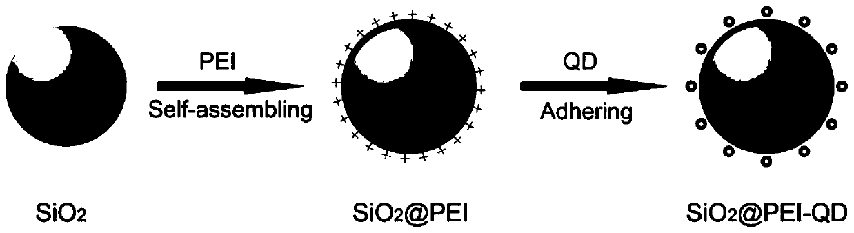 Silicon core quantum dot shell composite nano material, preparation method, application and product