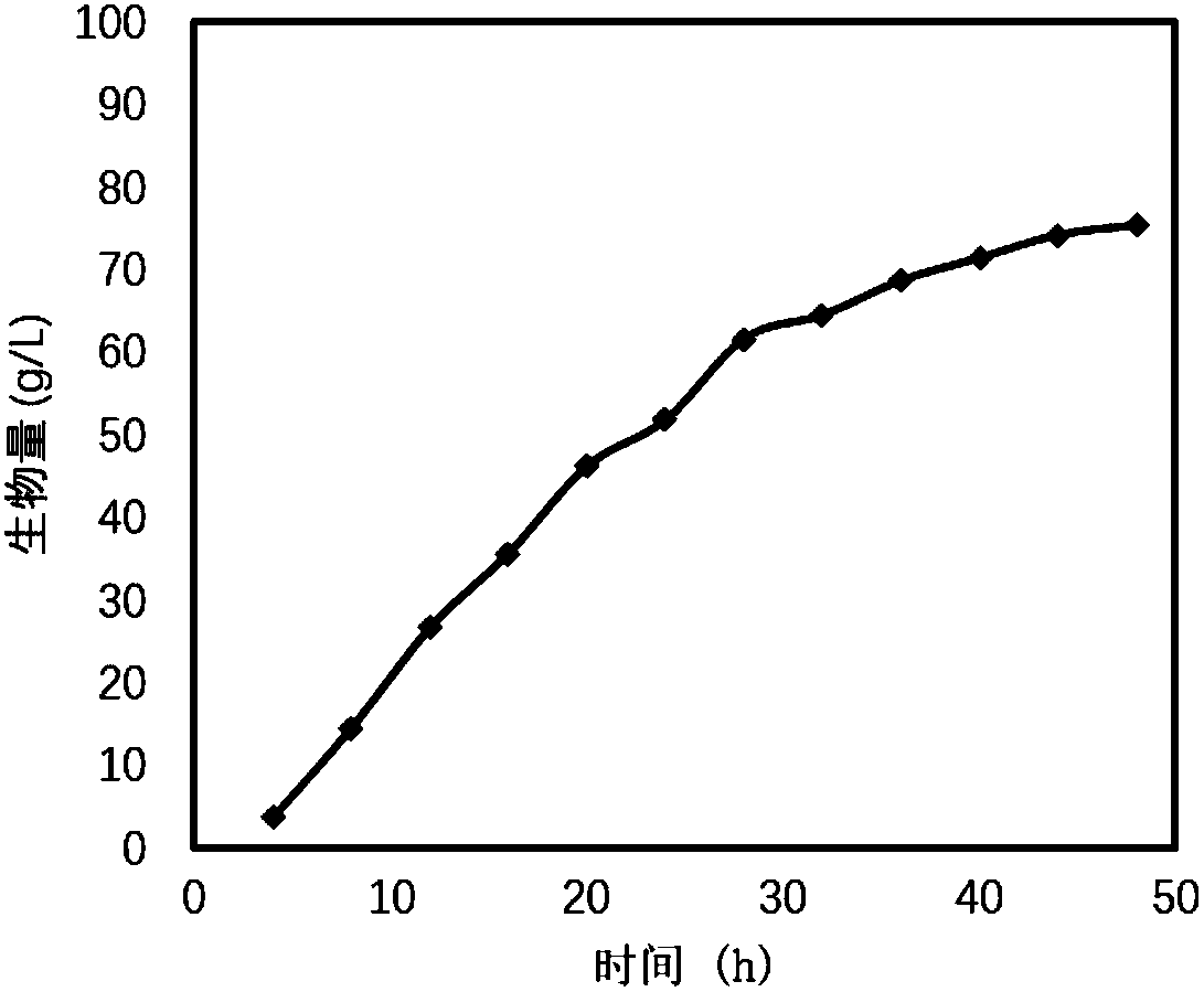 Method for producing polyhydroxyalkanoates (PHA) through sterilization-free fermentation