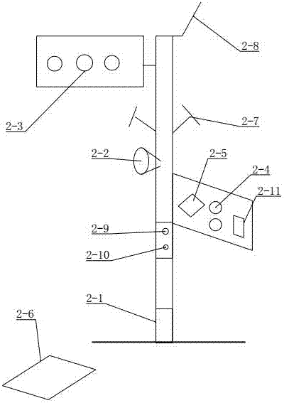 Urban traffic light system and traffic management method