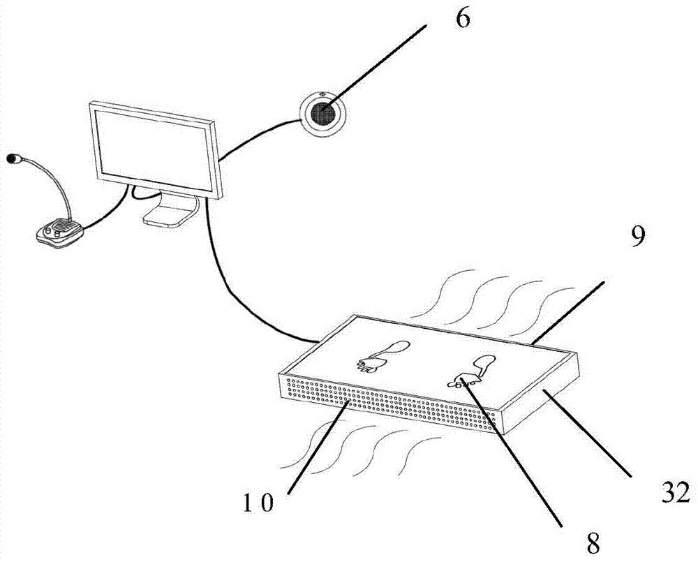 A thermal imaging detection device and detection method for peripheral vascular disease