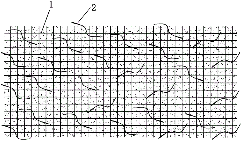 Stipa capillata seed collecting net and stipa capillata seed collecting and sowing method