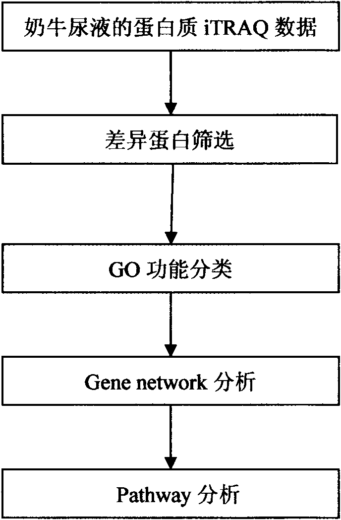 Processing method of cow urine iTRAQ test data