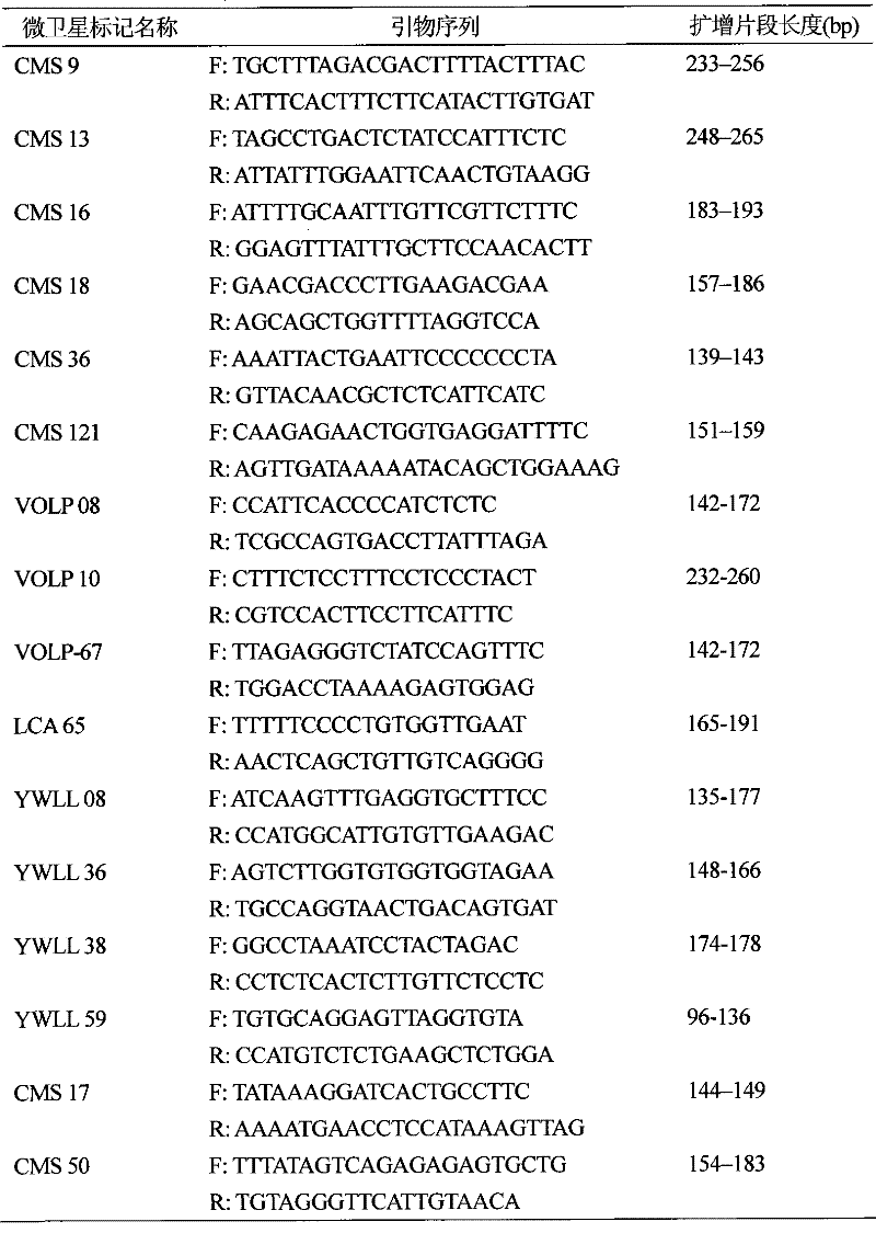 Marking method for indicating and distinguishing domestic and wild Bactrian camel DNA microsatellites