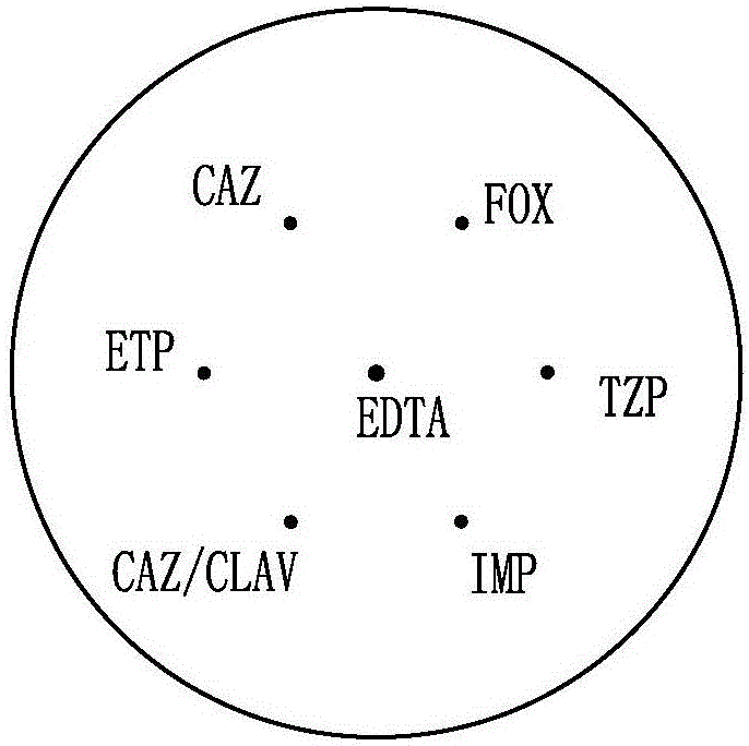 Method for simultaneously classifying and detecting carbapenemase, AmpC enzyme and extended-spectrum beta-lactamase