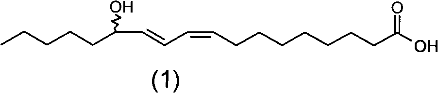 Monohydroxy conjugated linoleic acid, preparation method and application thereof