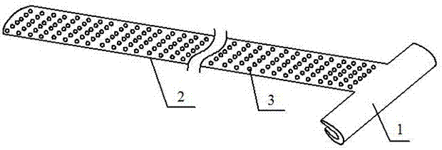 Ingrown nail correction device and method for correcting ingrown toenail