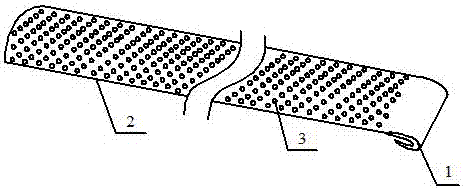 Ingrown nail correction device and method for correcting ingrown toenail