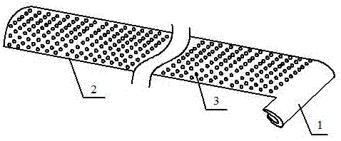 Ingrown nail correction device and method for correcting ingrown toenail