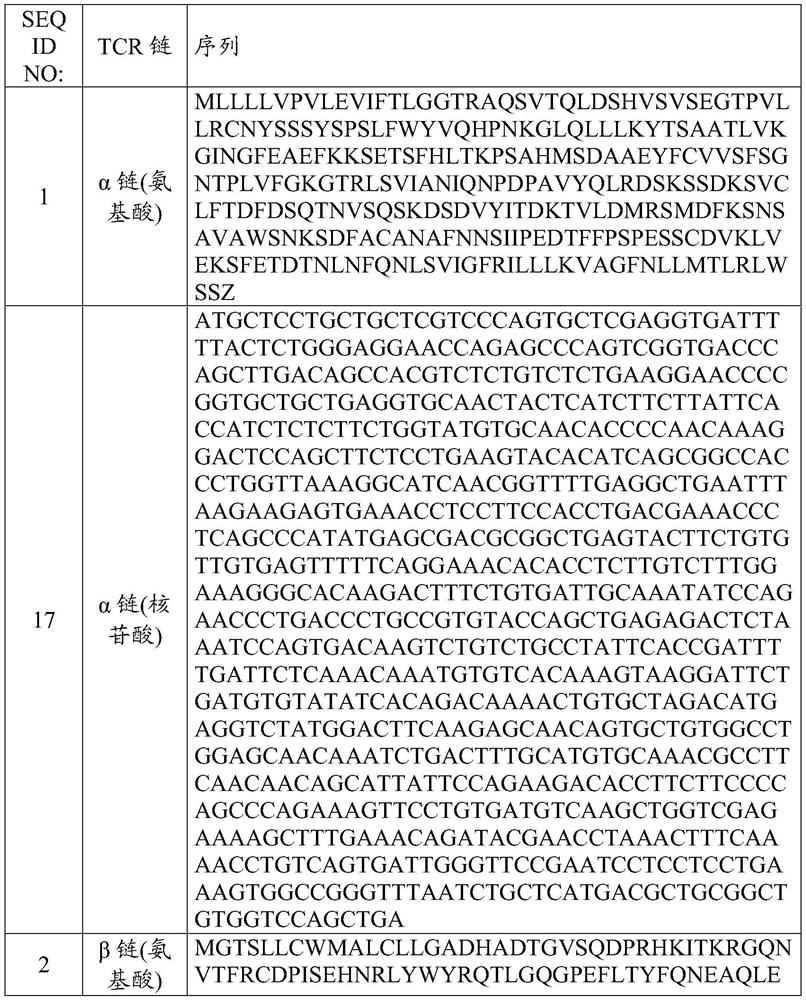 T cell receptors and methods of use thereof