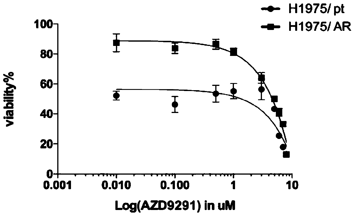 Osimertinib drug-resistant cell line NCI-H1975/AR and application thereof