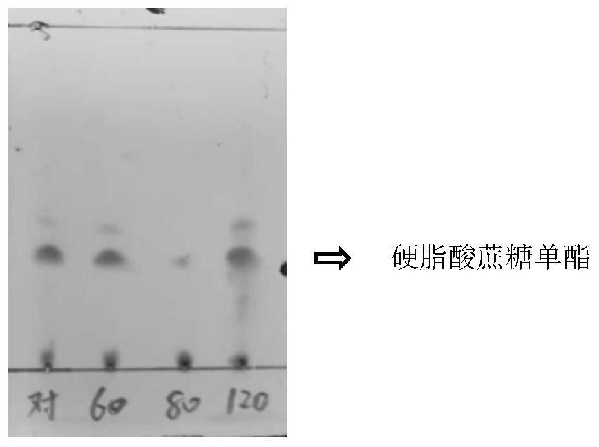 Method for catalytically synthesizing sucrose fatty acid ester by lipase in organic solvent