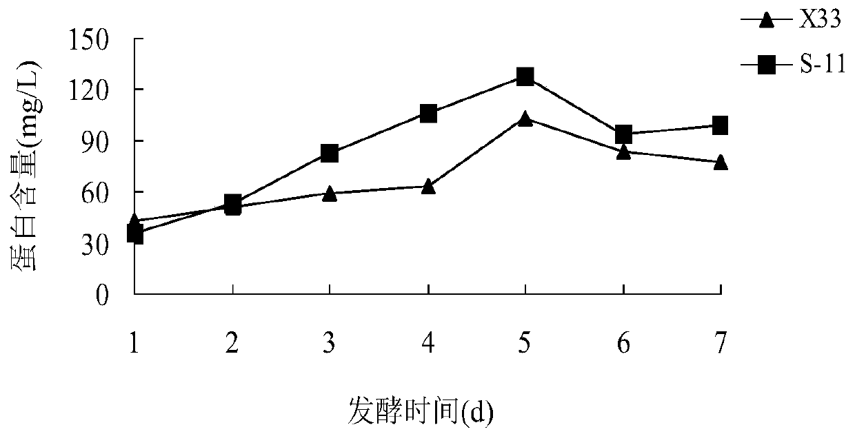 Method for inhibiting production of yeast pre-flocculating factor