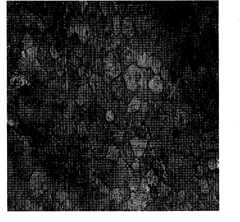 Wrought magnesium alloy and preparation method thereof