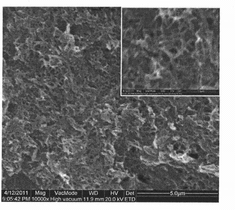 Fluorescent sensor film preparation method based on perylene diimide cholesterol derivative