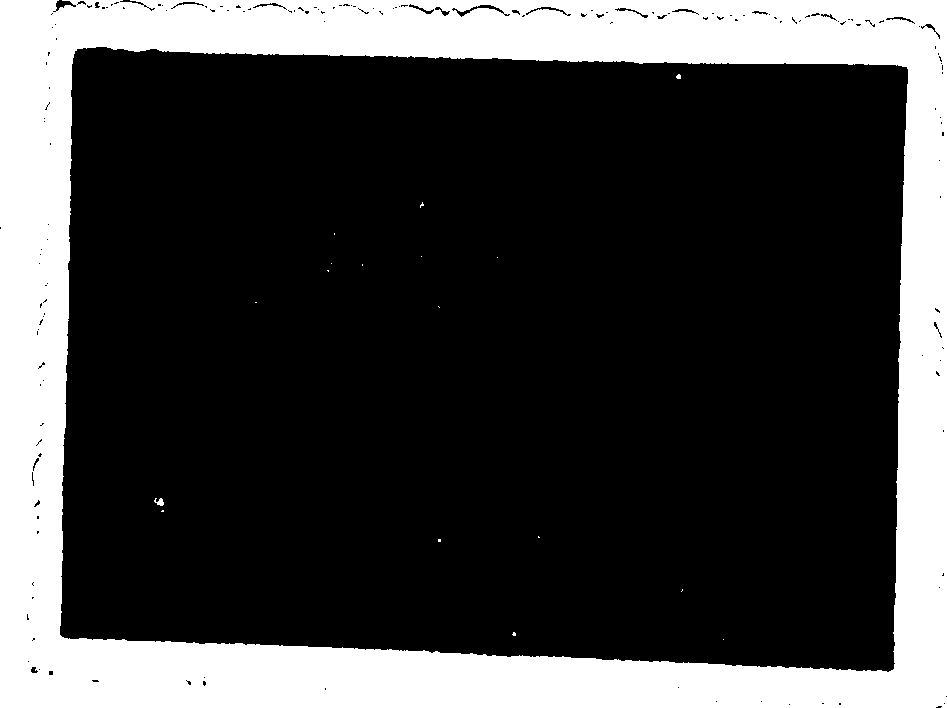 High vanadium high-wear-resistant alloy and its preparation method