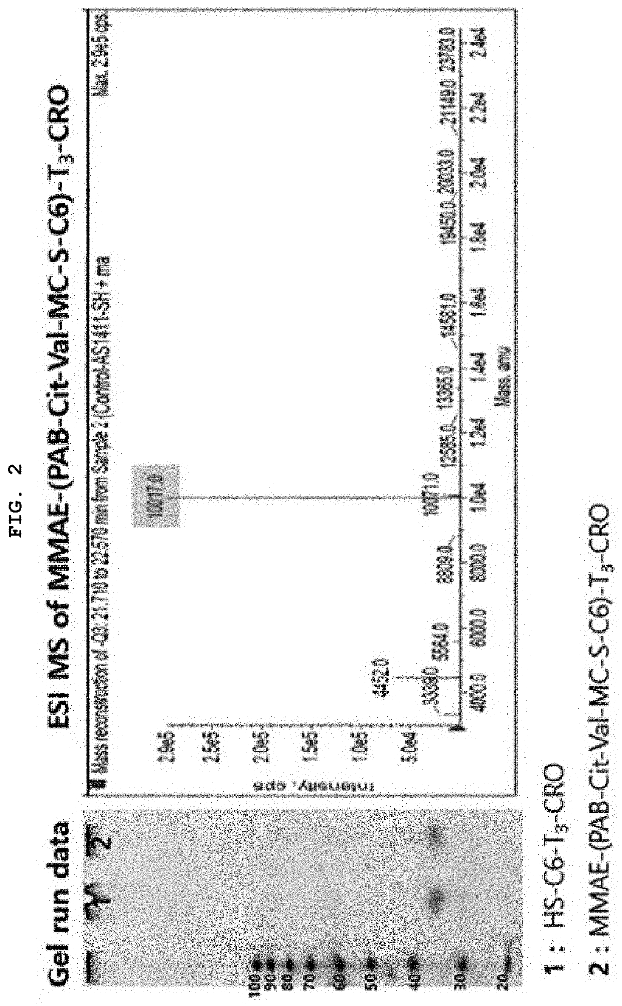 Aptamer-drug conjugate and use thereof