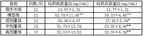 Method for preparing traditional Chinese medicine composition for treating diabetic nephropathy