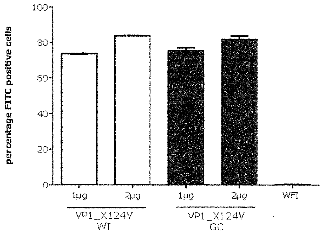 Nucleic acid molecules and uses thereof