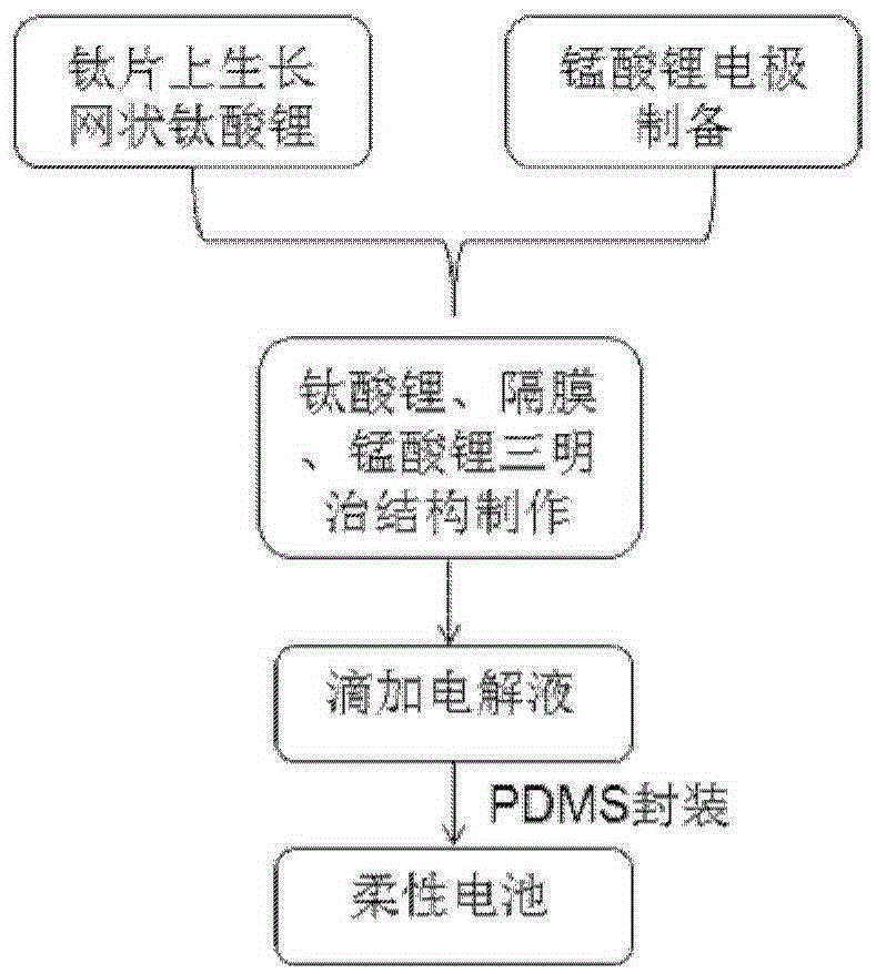 A kind of preparation method of flexible lithium ion battery and network lithium titanate electrode structure