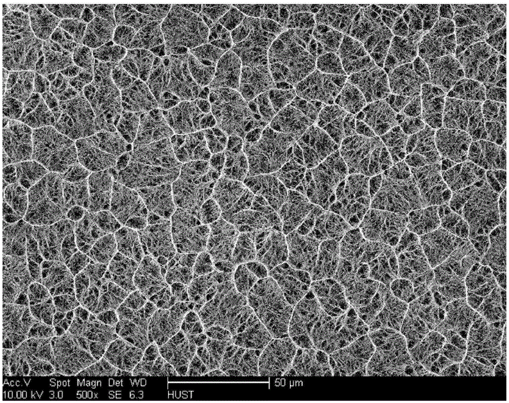 A kind of preparation method of flexible lithium ion battery and network lithium titanate electrode structure