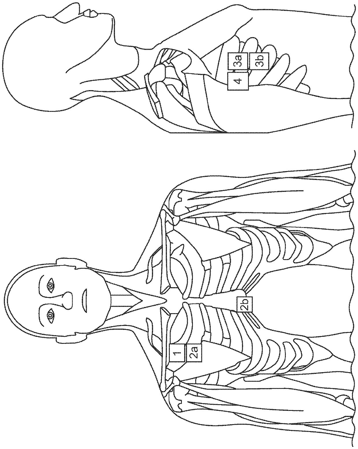 Respiratory volume monitor and ventilator