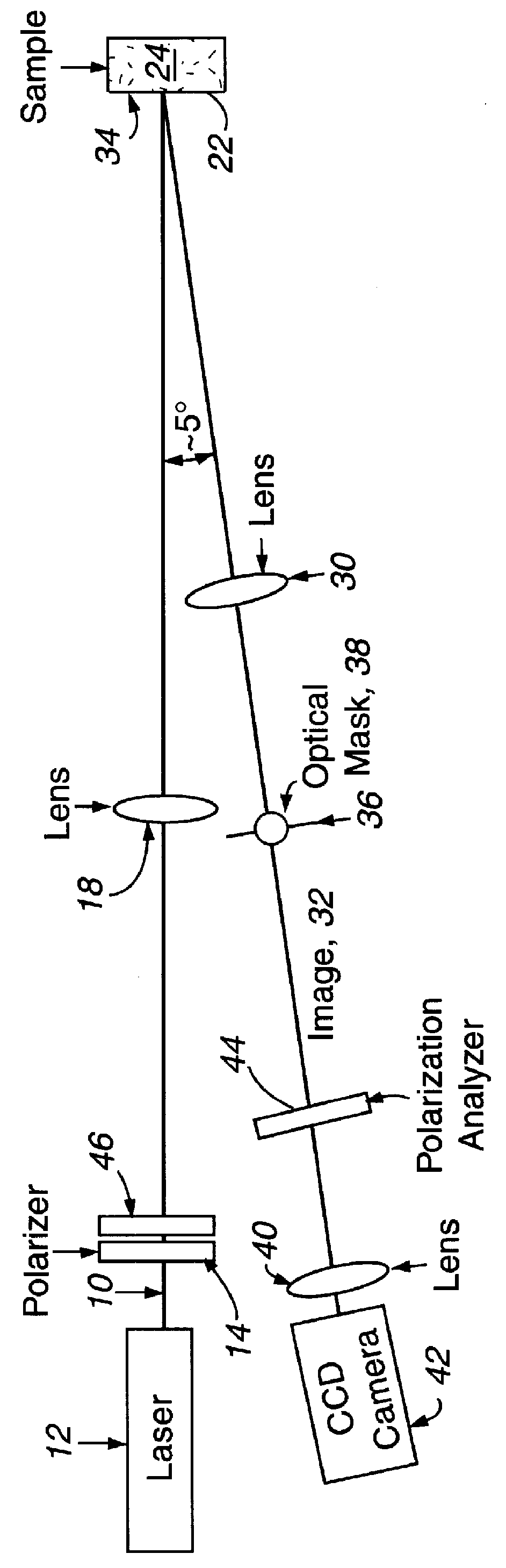 Characterization of highly scattering media by measurement of diffusely backscattered polarized light