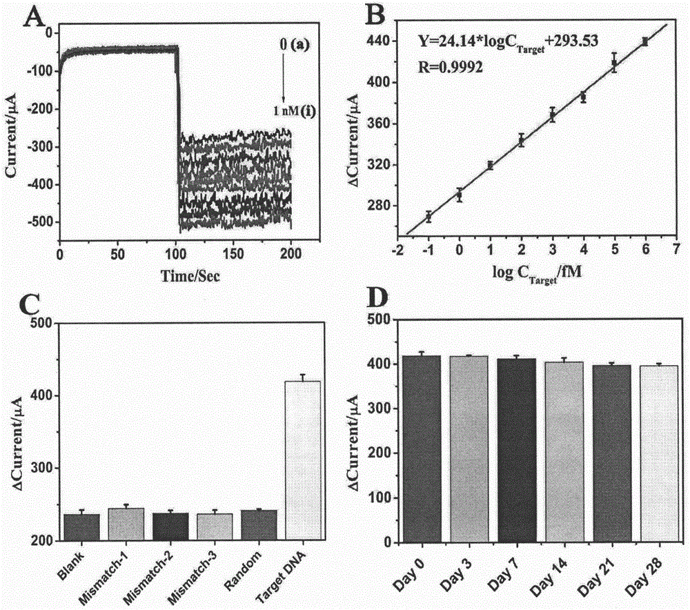 Preparation method of electrochemical sensor for FGFR3 (fibroblast growth factor receptor 3)-1138G&gt;A gene polymorphism detection