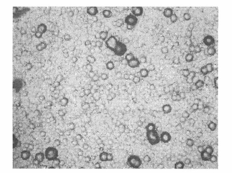 Low-temperature chemical Ni-Cu-P plating solution and chemical Ni-Cu-P plating method applying the solution