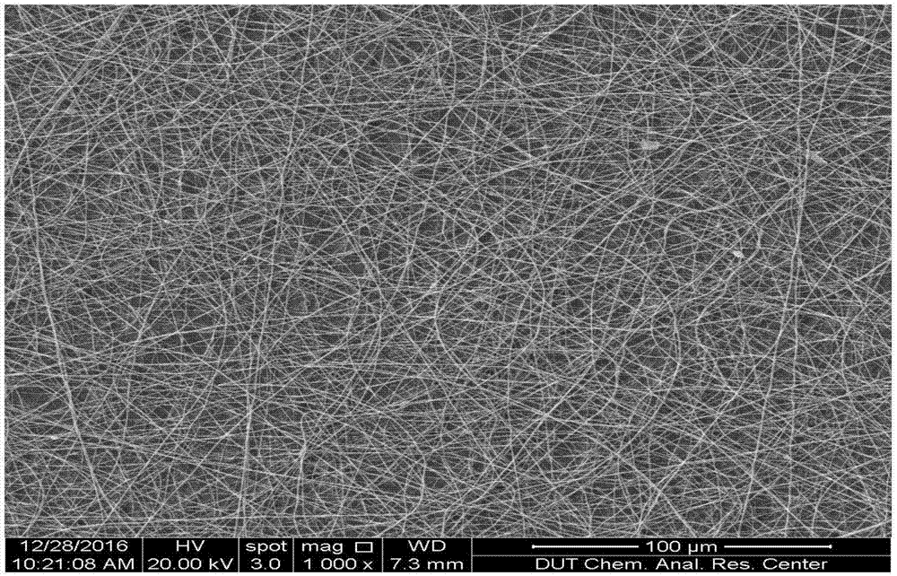 Electrostatic spinning-based pressure-sensitive adhesive patch, and preparation method thereof