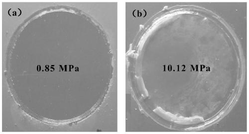 Preparation method of high-adhesion high-corrosion-resistant fluorinated graphene coating