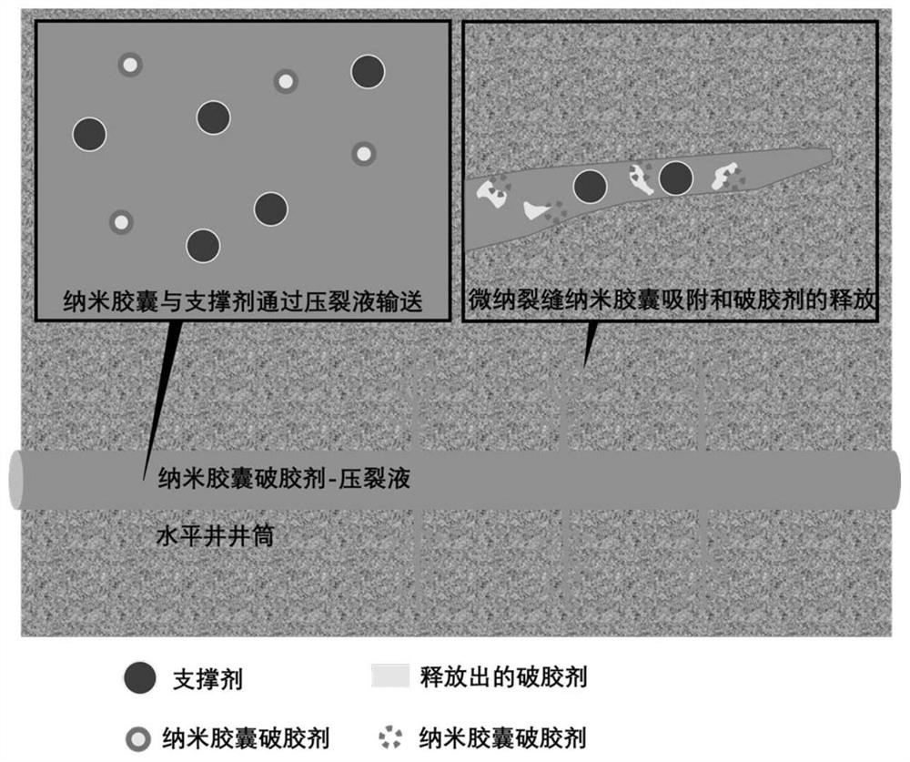 Delivery-controllable and release-controllable nanocapsule gel breaker as well as preparation method and application thereof