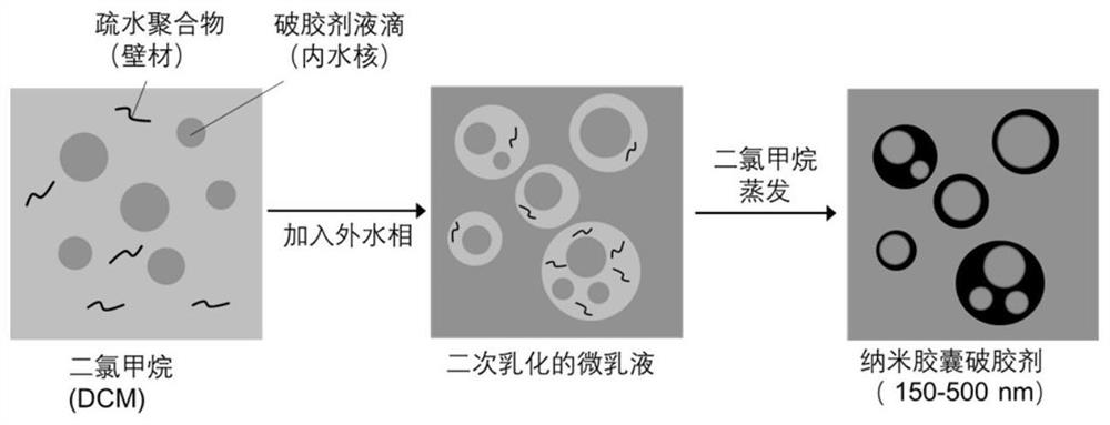 Delivery-controllable and release-controllable nanocapsule gel breaker as well as preparation method and application thereof