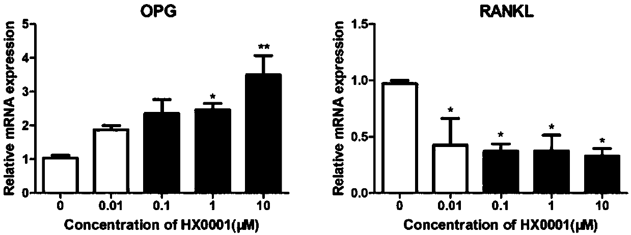 Compound with anti-osteoporosis activity and application thereof