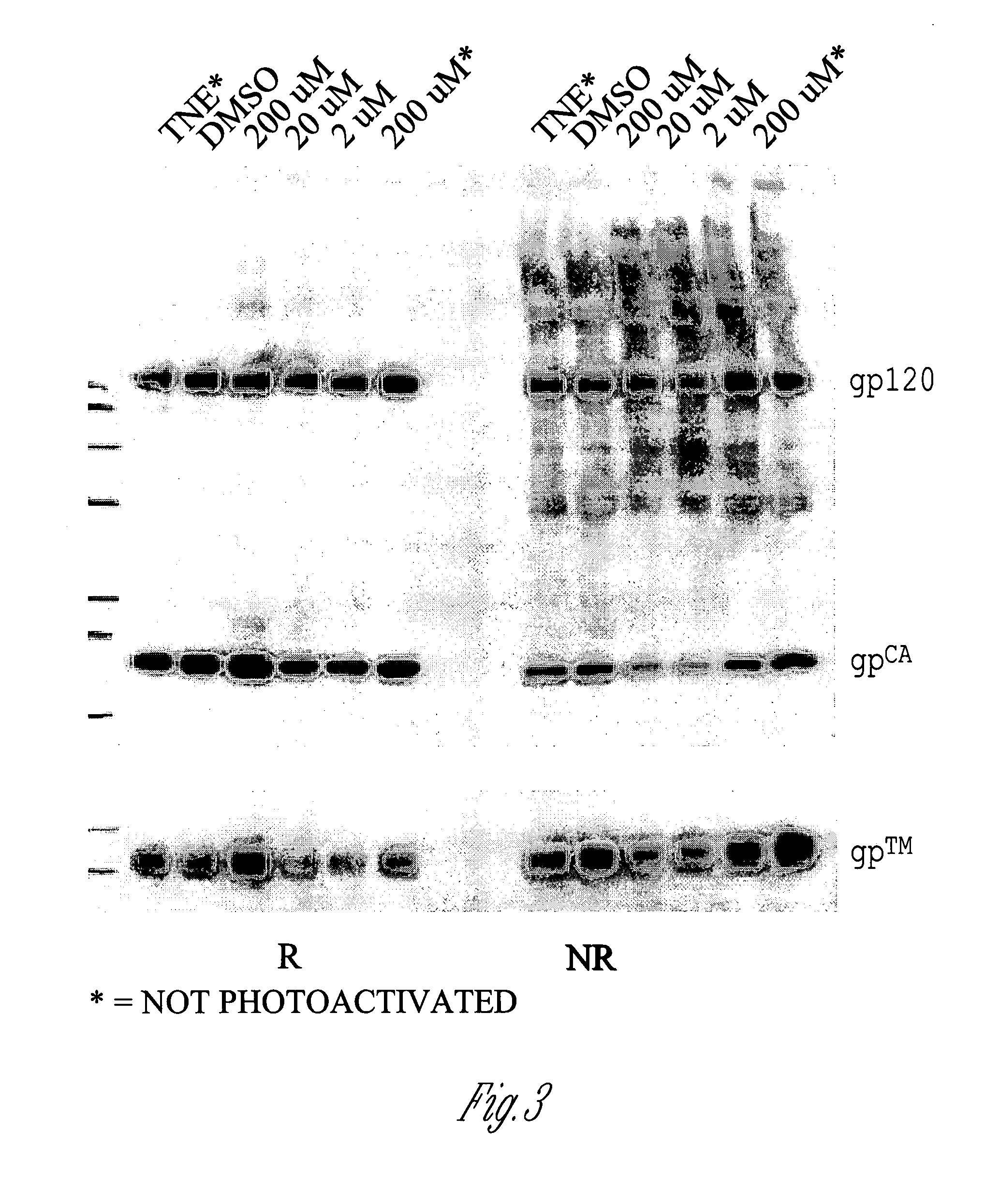 Inactivated Influenza Virus Compositions